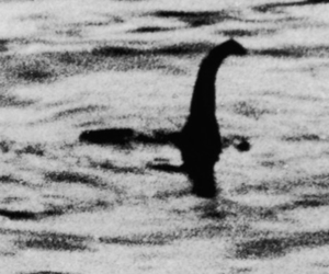 Monster von Loch Ness könnte existieren