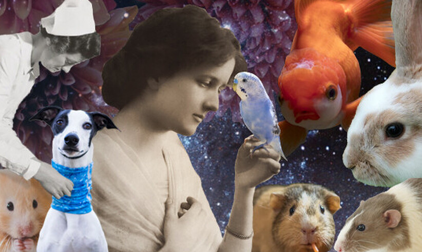 Geballtes Wissen zum Thema Haustiere