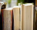 Weltliteratur in 30 Sek