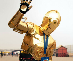 Die besten Sidekicks und Nebenrollen