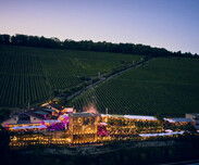 WEIN AM STEIN Festival 2025