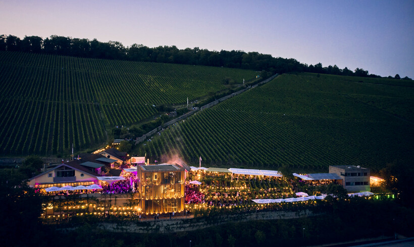 WEIN AM STEIN Festival 2025
