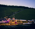 WEIN AM STEIN Festival 2025