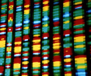 Massive Attack verewigen ihre Musik als DNA