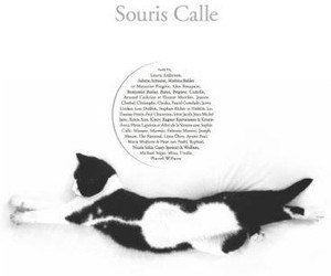 Künstlerin komponiert Album für tote Katze