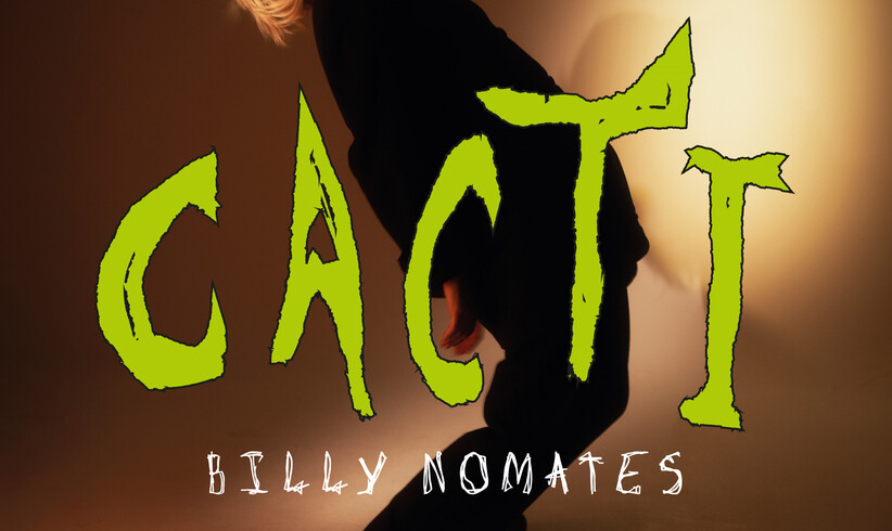 Billy Nomates: Cacti