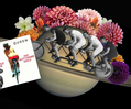 Worum es bei "Bicycle Race" von Queen geht
