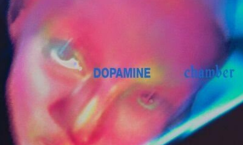 Fontaines D.C.: Dopamine Chamber