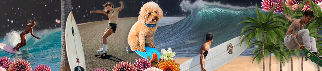 Everybody's gone surfin'