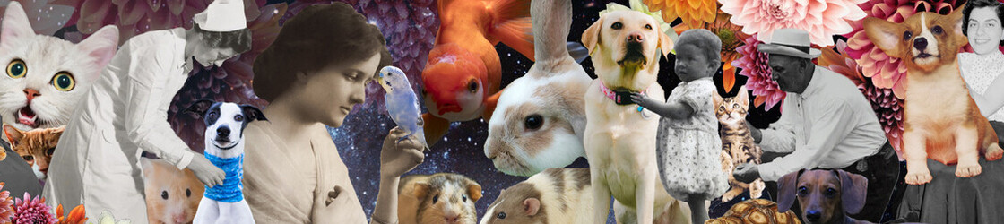 Im Reich der Tiere