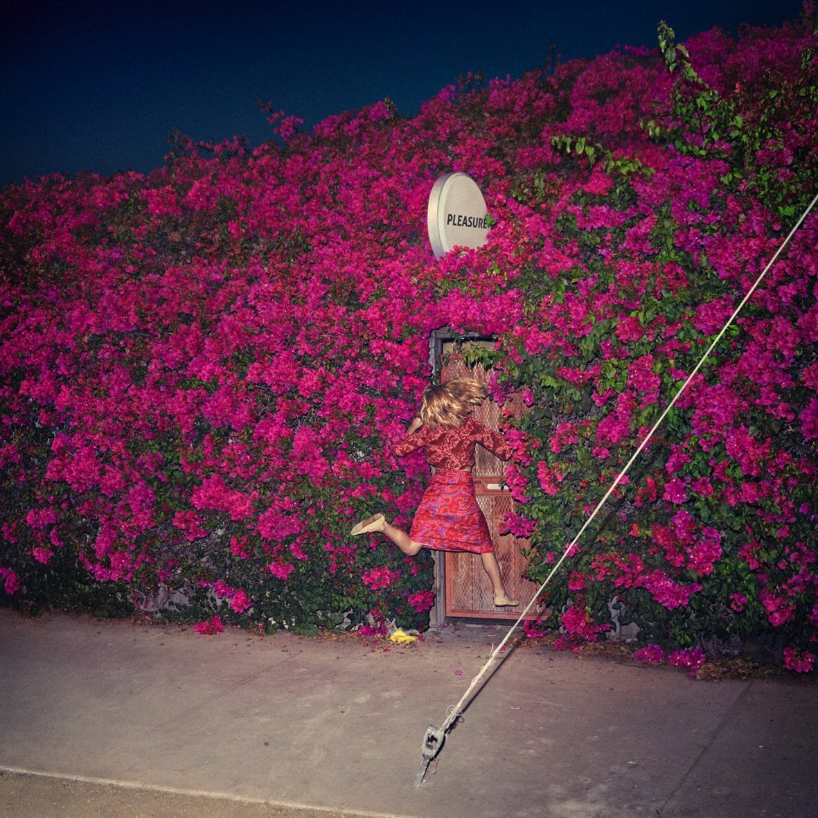 feist pleasure cover